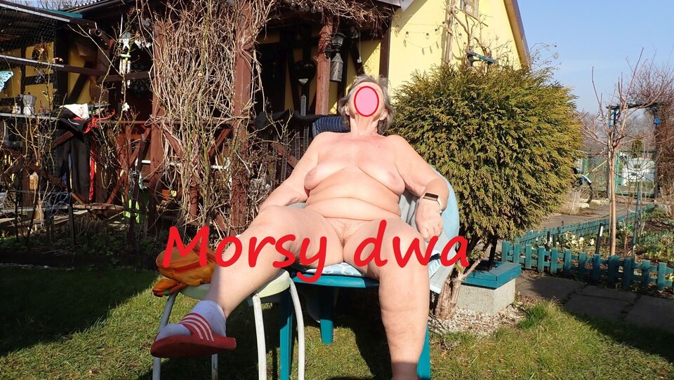 W zimowym słoneczku. - Morsy_dwa