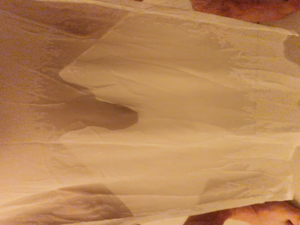 1000000046.jpg - TRANSTA1