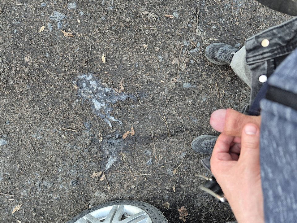 1000007634.jpg - BESTIALITY