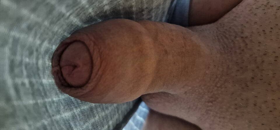 17425297250993090925138715010812.jpg - robin266