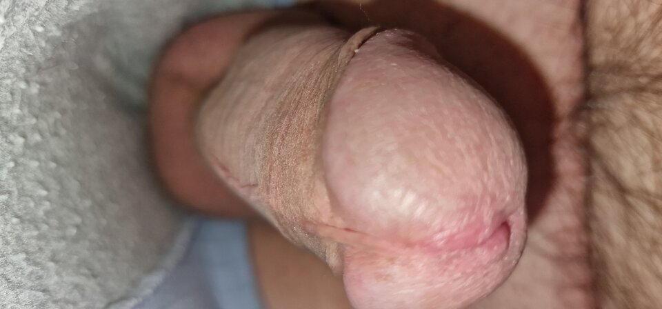 1742529890046602688683942634412.jpg - robin266