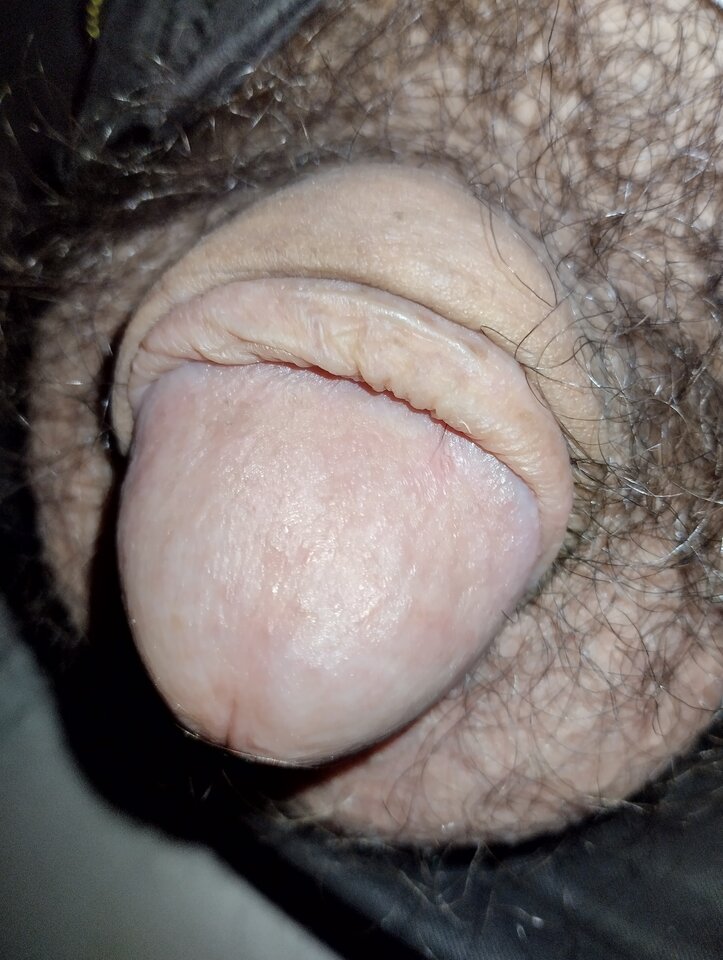 1742531384661.jpg - smakwaginy