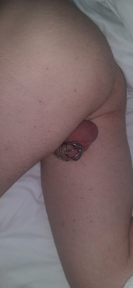 17425985645387982957617243248114.jpg - Palciusia