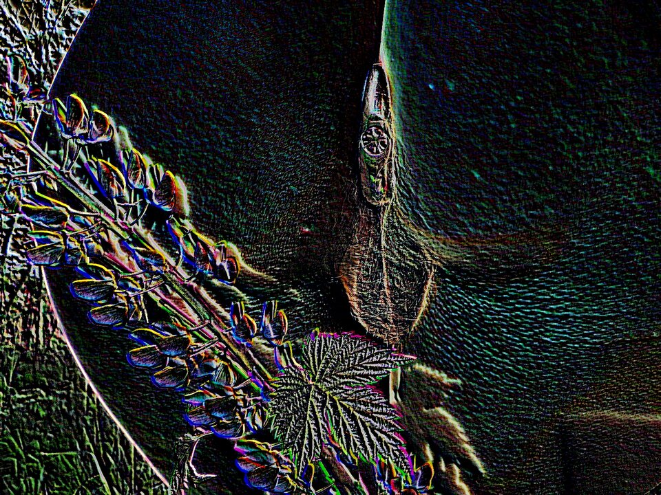 IMG_0015b.jpg - onaon8076