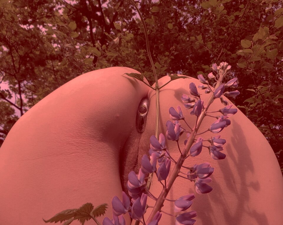 IMG_0017c.jpg - onaon8076