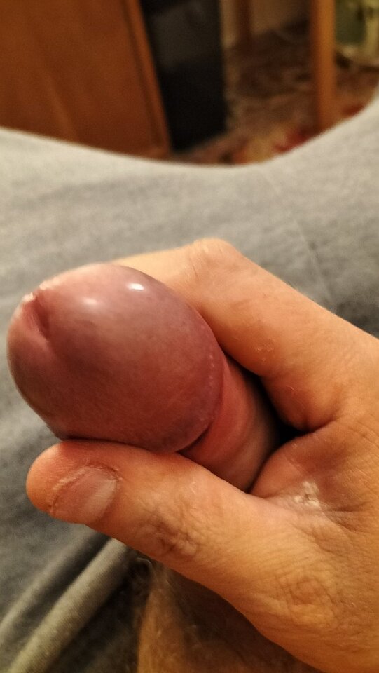 big_0d138ed972596b9ede0eb084d95a07eb.jpg - wawianin