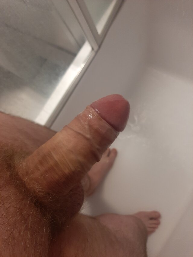 LADNYCZLONEK1