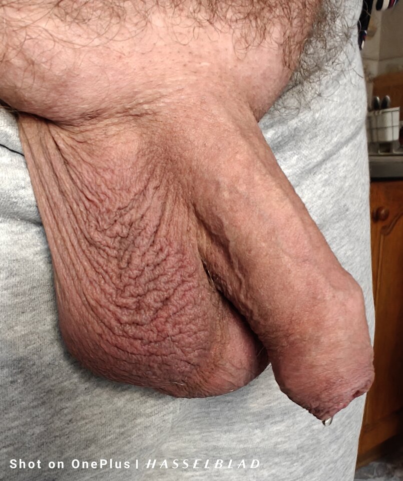 1000012693.jpg - jogan