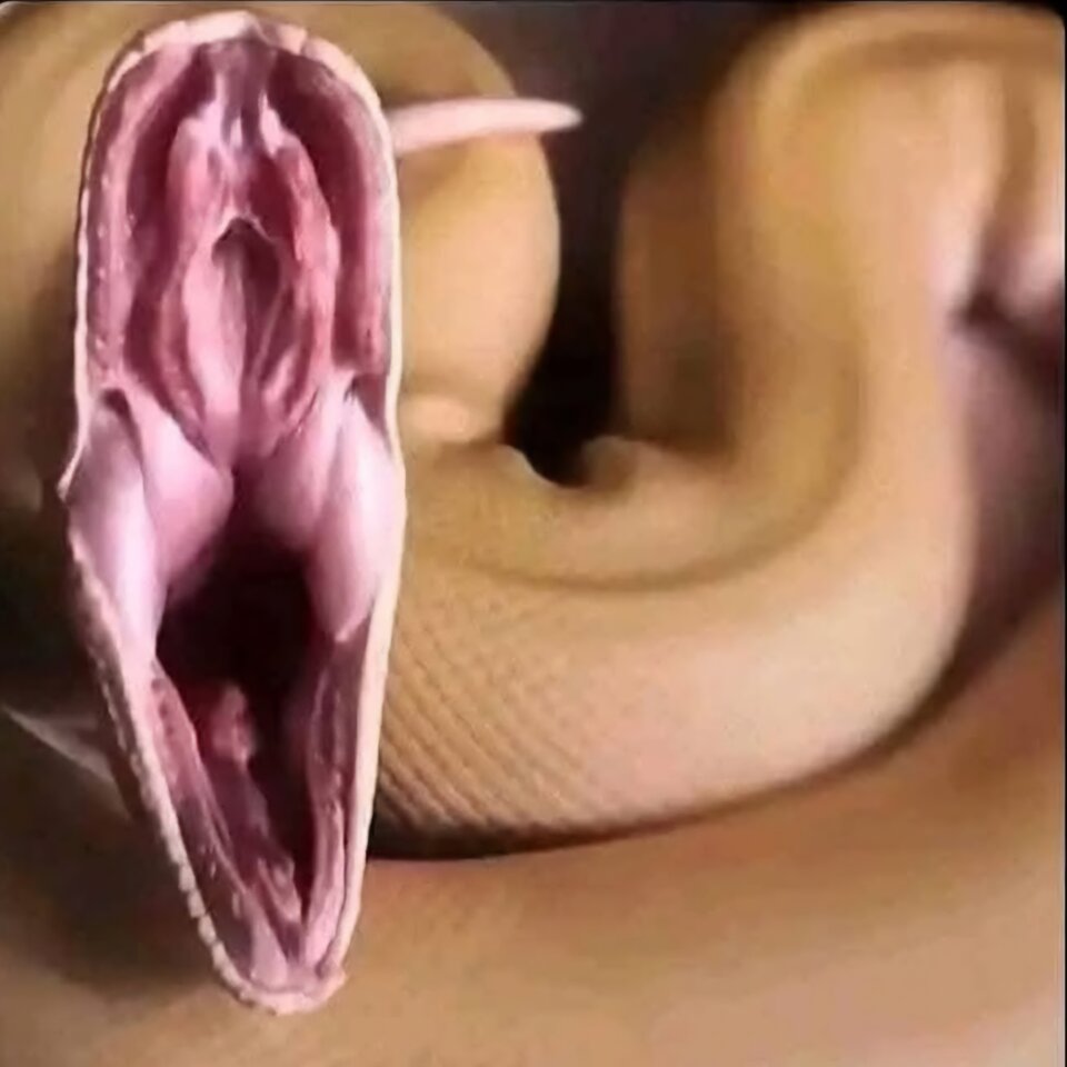 1000047558.jpg - LubimyBardzoCzesto