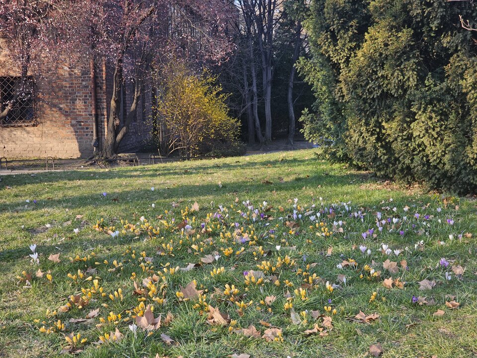 1000002530.jpg - TerazRazem