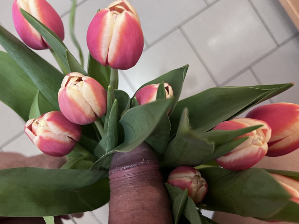 IMG_0471.jpeg - nrw670n
