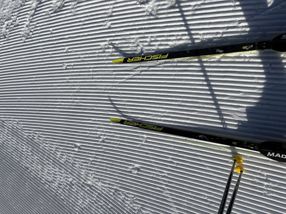 IMG_9447.jpeg - BYCSOBA83