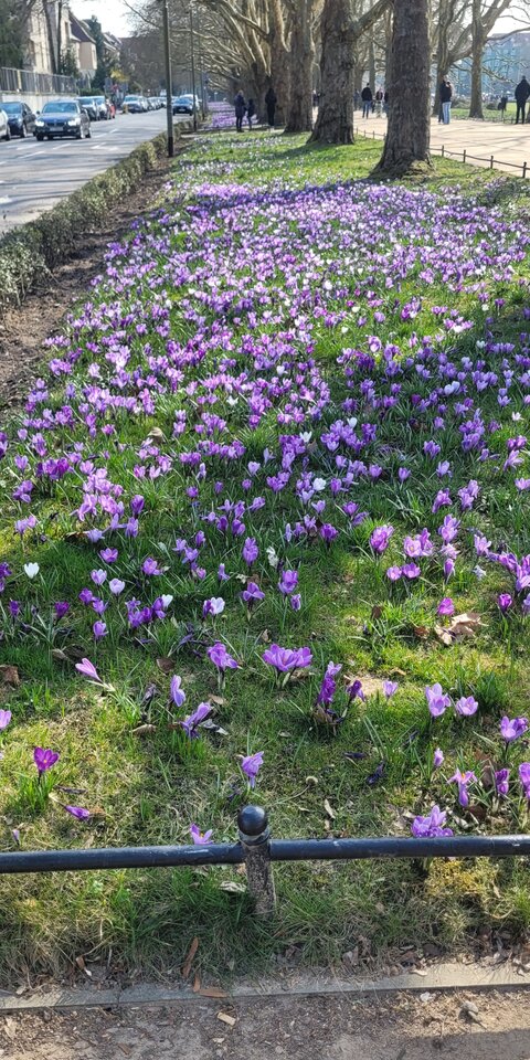 20250323_122130.jpg - ZS1980