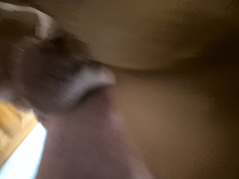 1000060192.jpg - mariowrocek