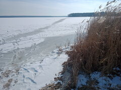 IMG 2025 02 21 130808.jpg