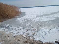 IMG 2025 02 21 130811.jpg