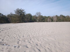 IMG 2025 02 21 130815.jpg