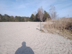 IMG 2025 02 21 130819.jpg