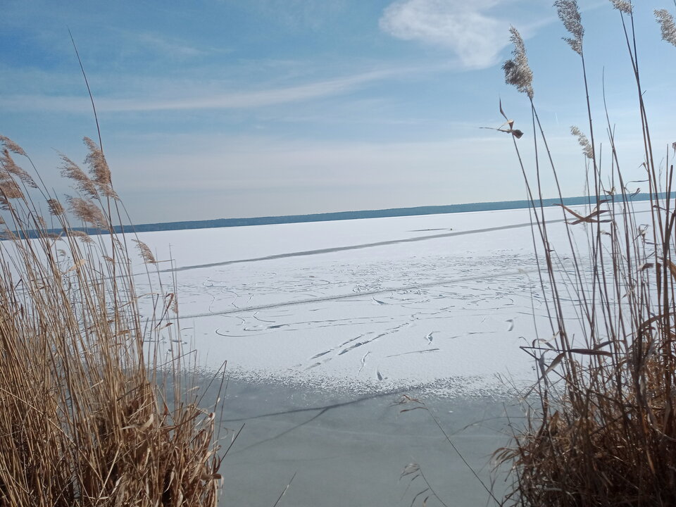 IMG 2025 02 21 130850.jpg - lookin_