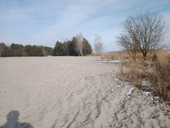 IMG 2025 02 21 130922.jpg