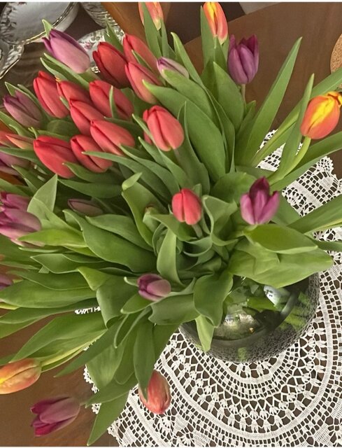 Screenshot_20250323-193223_Gallery.jpg - Czarodzieje_alfa