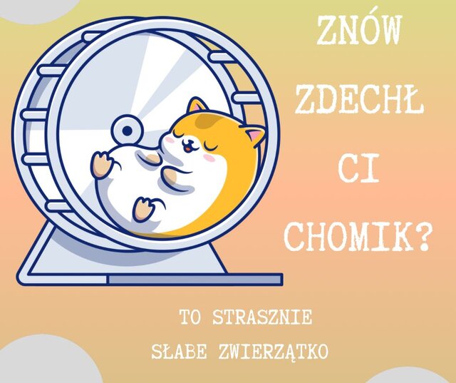 IMG-20250323-WA0000.jpg - Darekja75