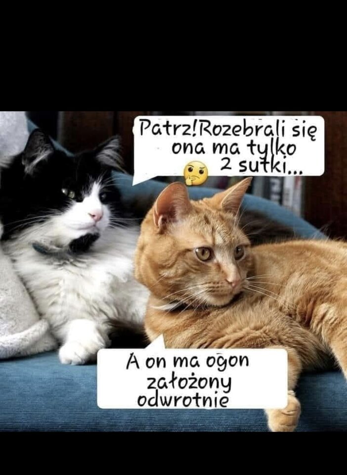 1000021253.jpg - Miniek234