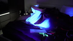 DSC05425.JPG