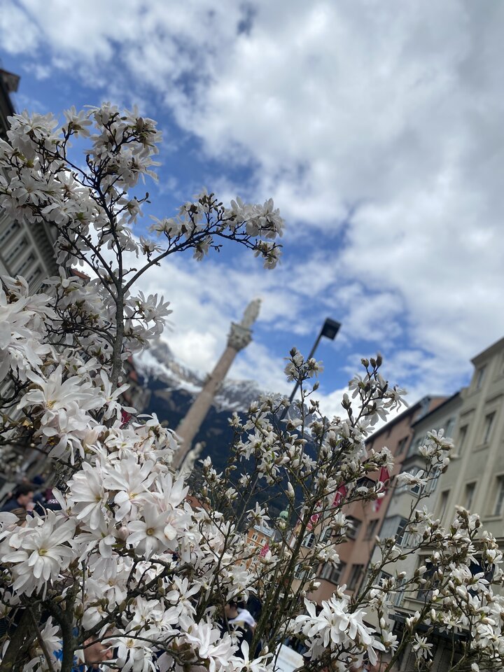 IMG_3336.jpeg - May_Day