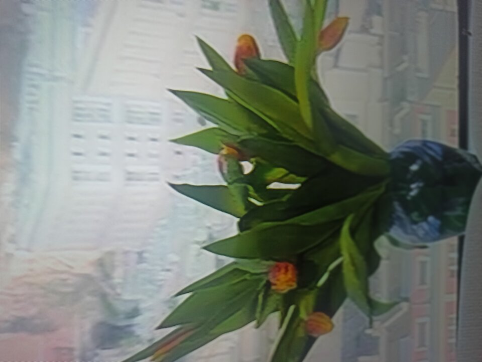 IMG_20250322_072834.jpg - kasiulawacek