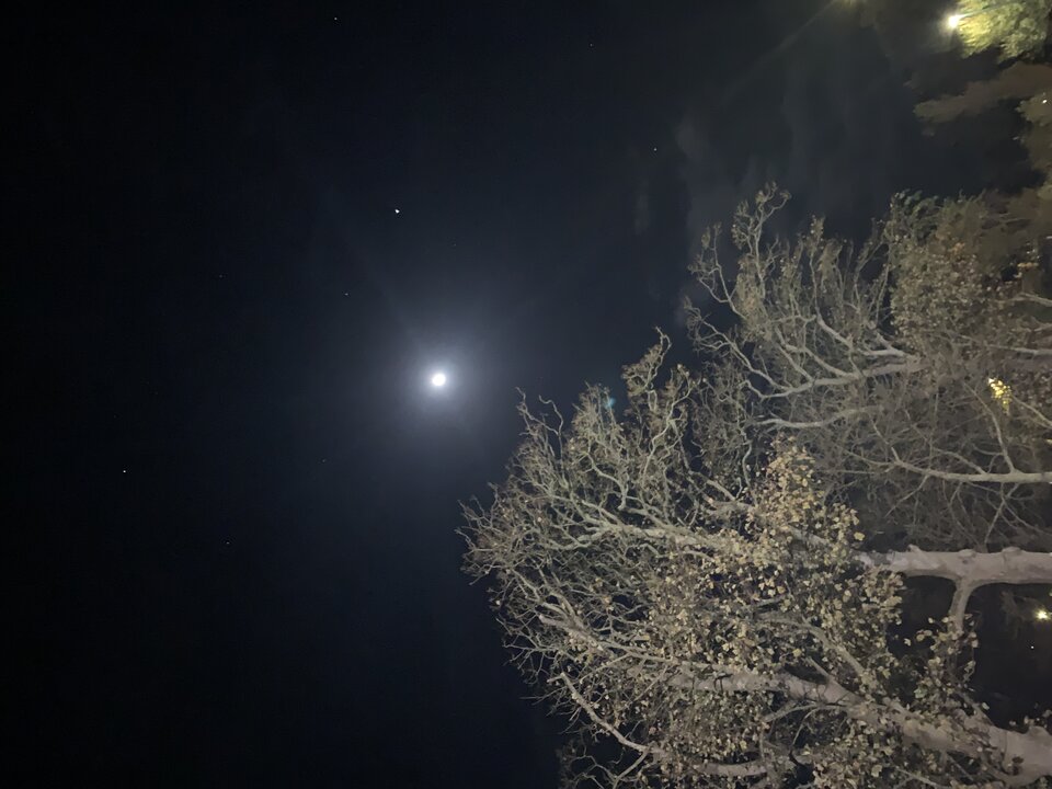 IMG_3294.jpeg - tom745