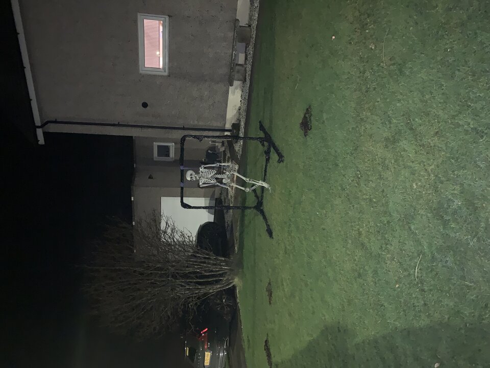 IMG_3317.jpeg - tom745