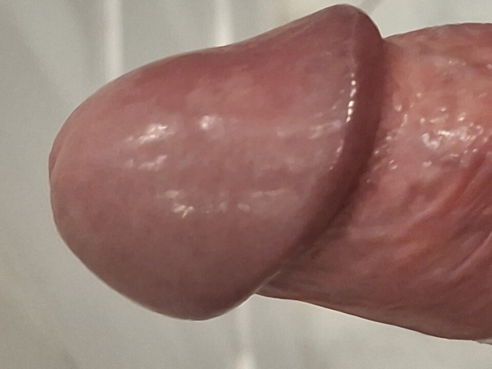 1000005005.jpg - mar_nn40