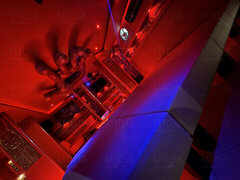 Strefa targu klaczy !