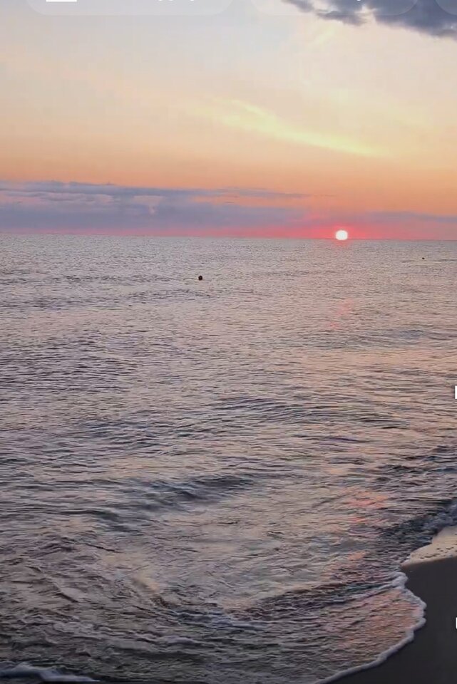 🦋🦋🦋🦋🦋 - butterflies2