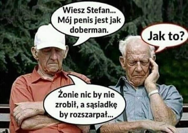 IMG-20250326-WA0001.jpg - Szarozielonooka