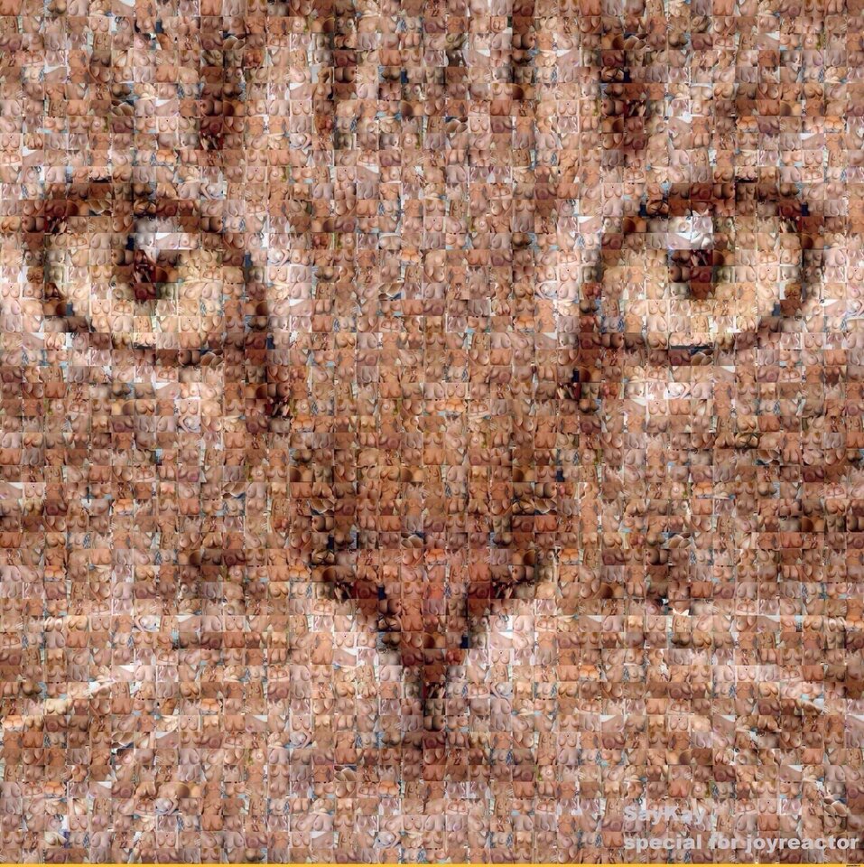 1000038310.jpg - PiggyiKermit