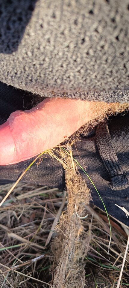 1000011678.jpg - ja_arek