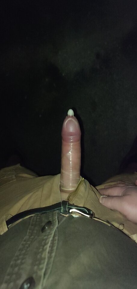 Twardy.jpg - dziobak_