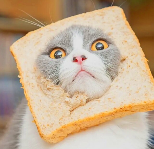 czy te oczy mogą kłamać 😻 - Arabella_80