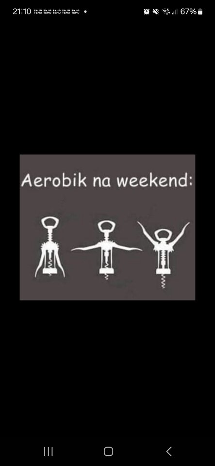 1000034849.jpg - Bi_para_KiP