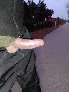 IMG20250329050224.jpg
