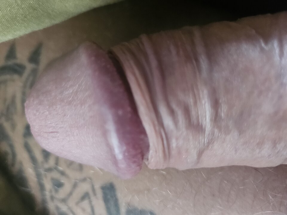 1000007282.jpg - Shadow8801