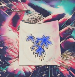 1000018414.jpg