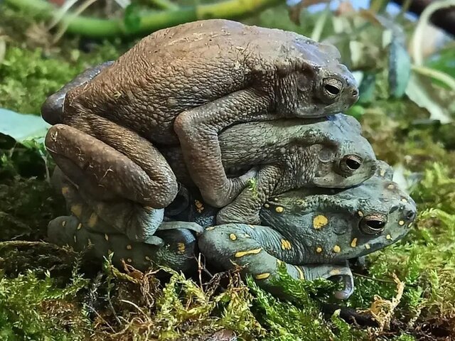 IMG_3476.jpeg - May_Day