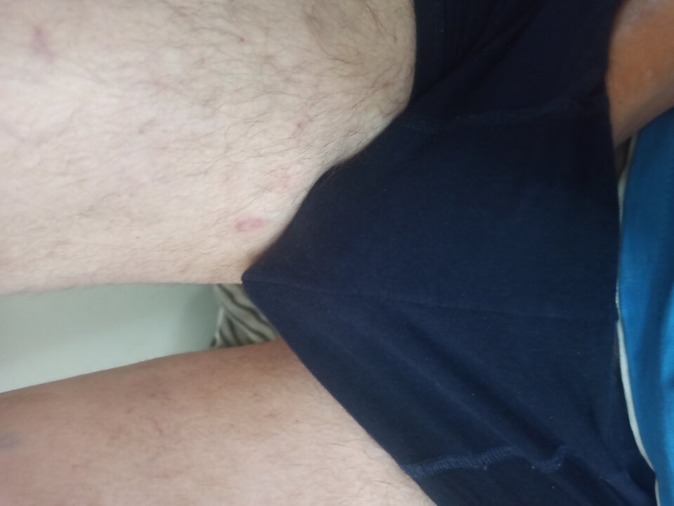 IMG_20250330_104249.jpg - RealnyWacek21