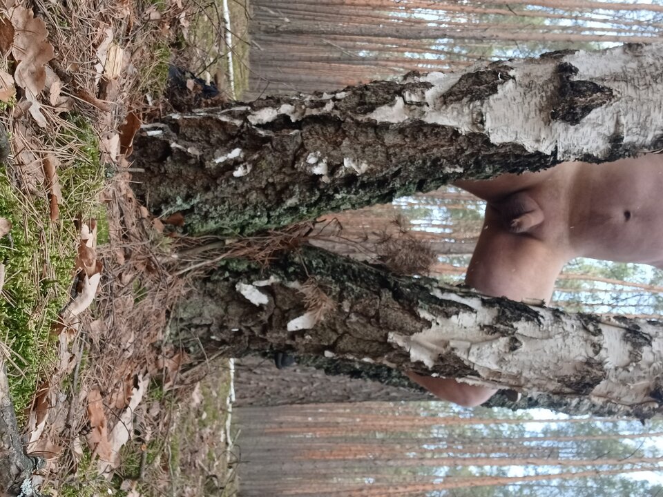 20250330_103202.jpg - Wpja