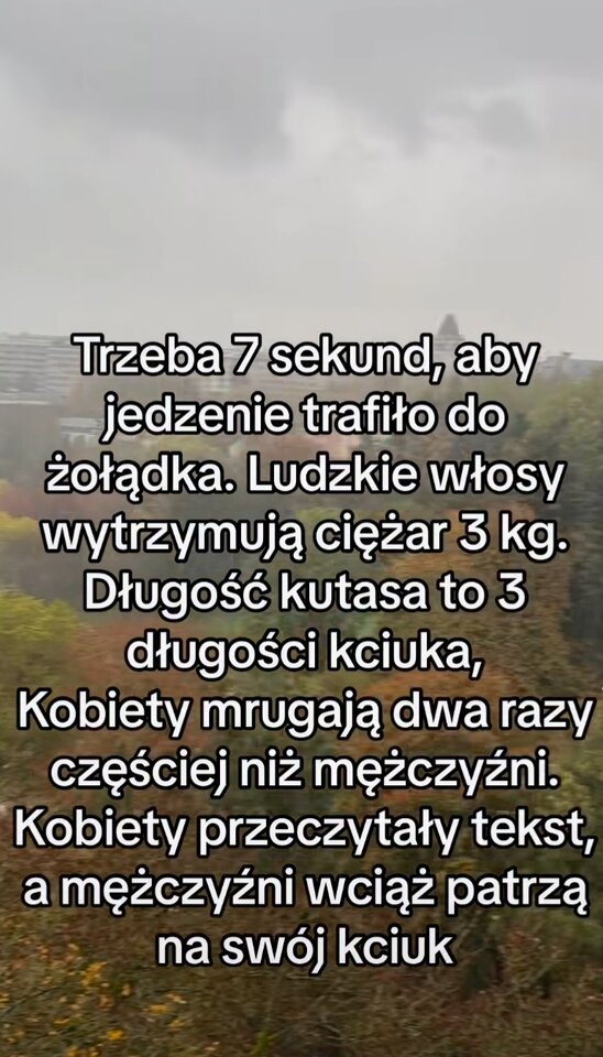 1000039996.jpg - Katarzyna0