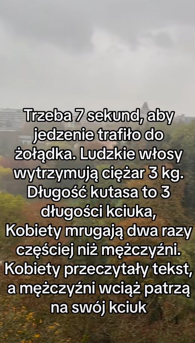 Katarzyna0