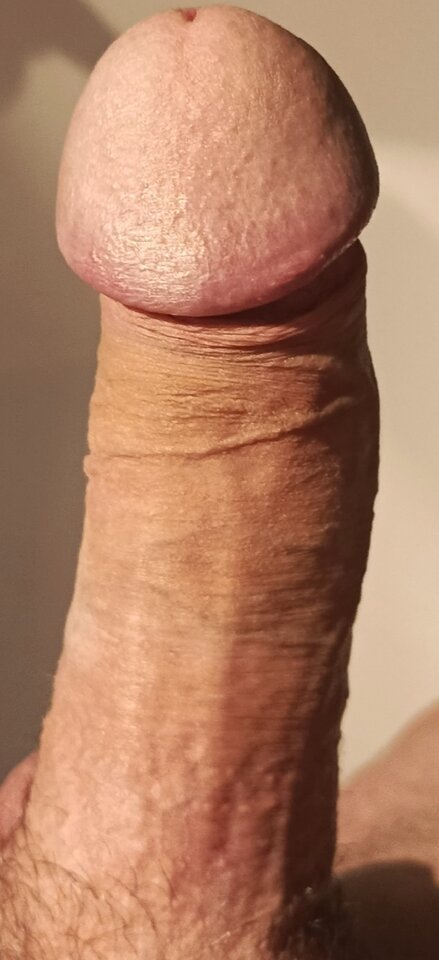 1743369293671.jpg - zaq1112